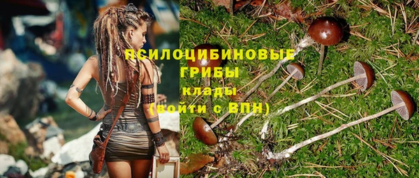 ГАЛЛЮЦИНОГЕННЫЕ ГРИБЫ Мегион